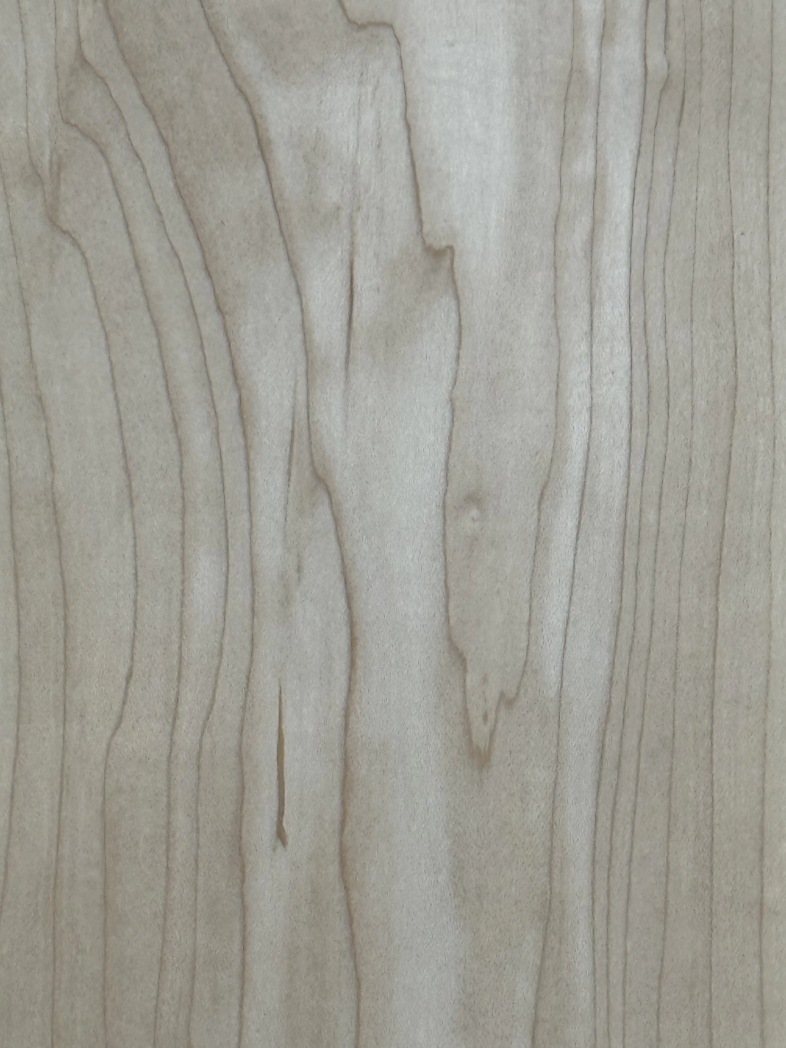 Close-up photo of wood grain with light-colored and dark lines.