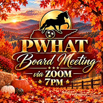 PWHAT Board Meeting