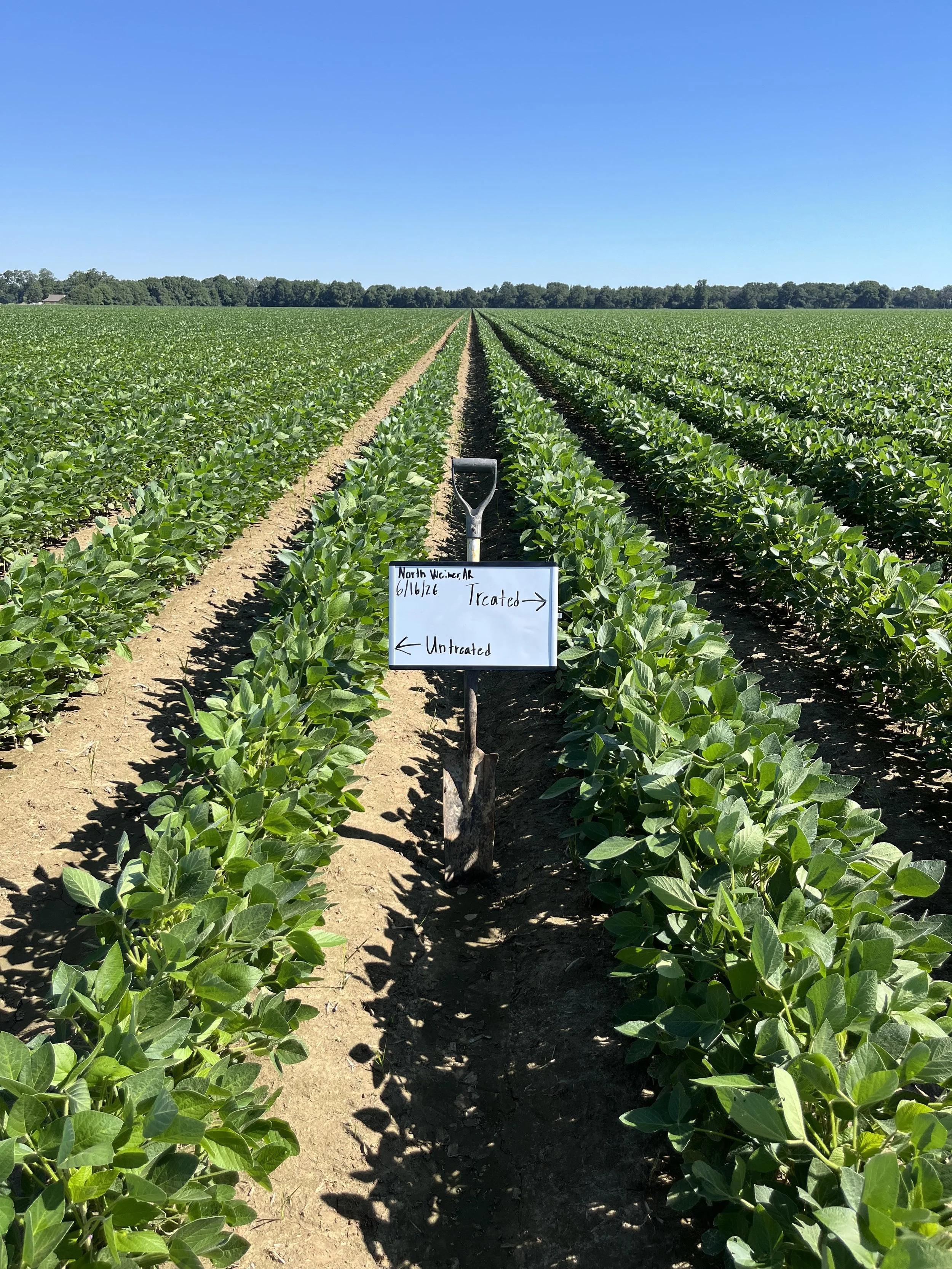 Jord BioScience Launches First-of-Its-Kind Biostimulant