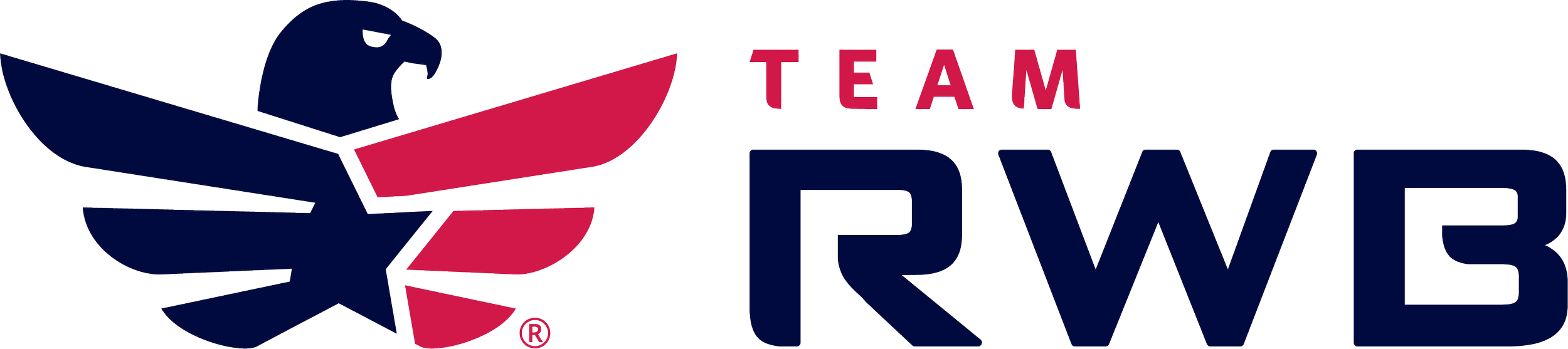 Logo of Team RWB featuring a stylized eagle head in dark blue and red with the words "TEAM RWB" in red and navy blue.