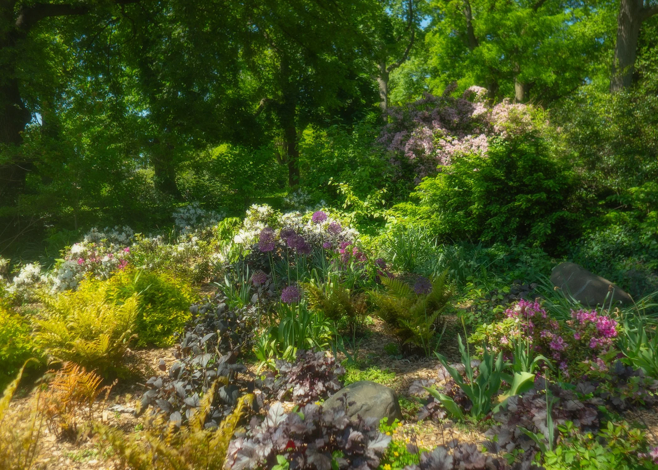Fairyland.jpg