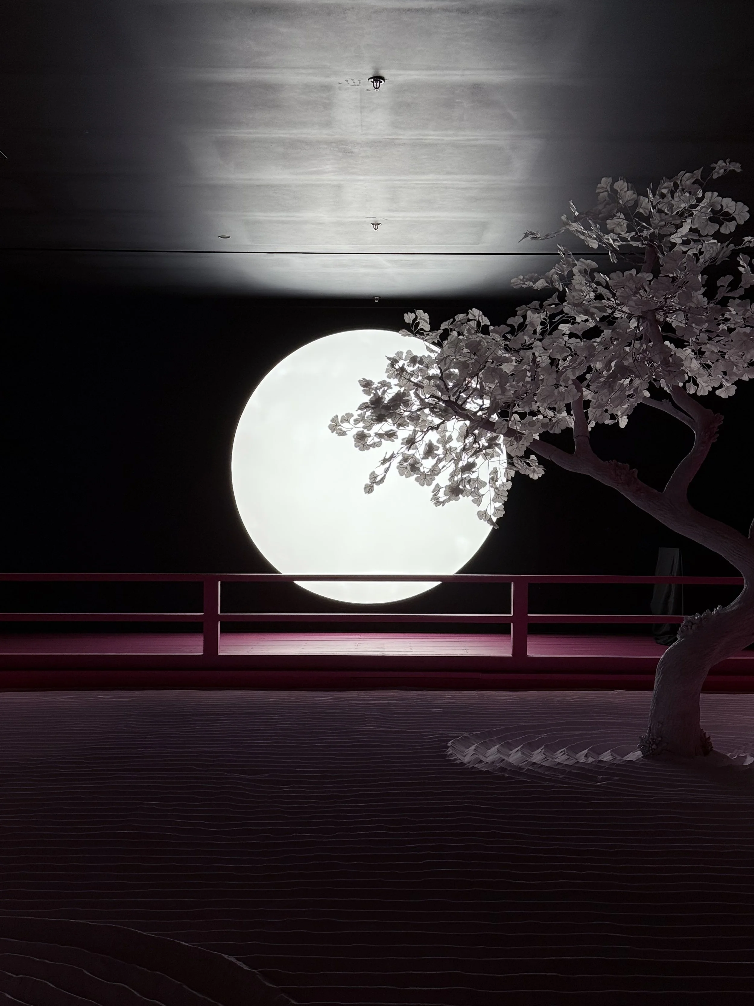 A black and white photo of a tree with flowers and an arch window with a circular opening showing the sky with some clouds. There is a pink railing in the foreground and a textured ground.