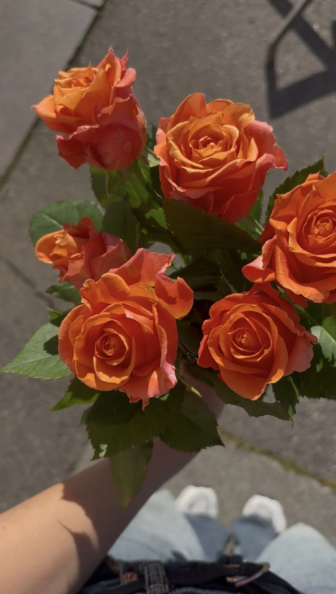 Bunte Rosen in einem Topf, gehalten von einer Person mit heller Haut, auf einem Gehweg bei Sonnenlicht.