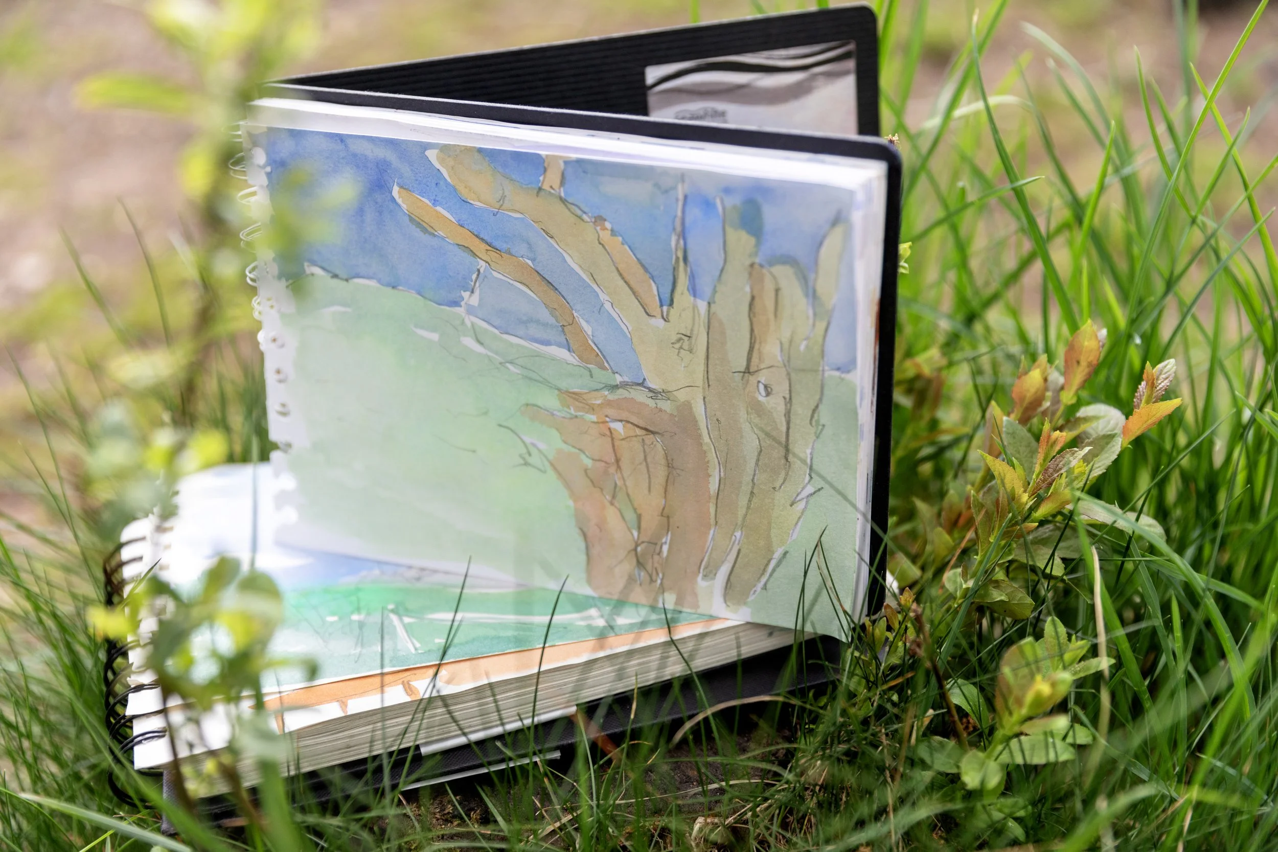 Lawers Skai: A Modern-Creative Tool for Dreaming Up a New Quality of Life