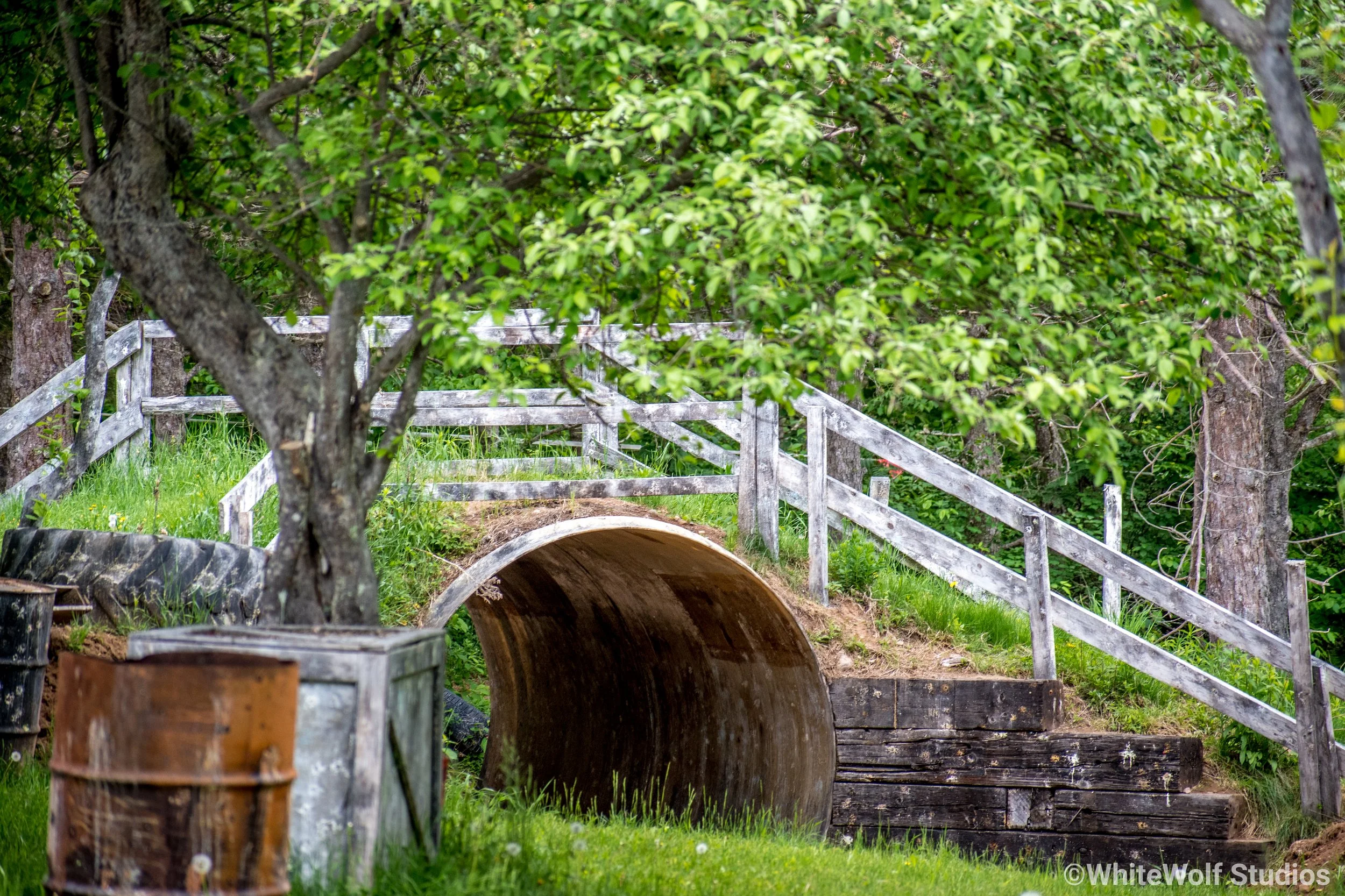 A wooden pipe with a curved entrance, set in a grassy area with trees and a wooden fence in the background.