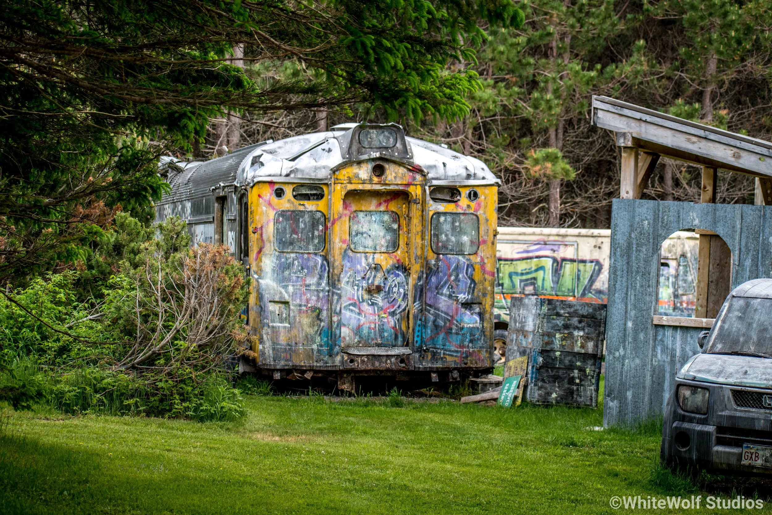 An abandoned, graffiti-covered train car surrounded by overgrown trees and bushes, with a grassy area in the foreground.