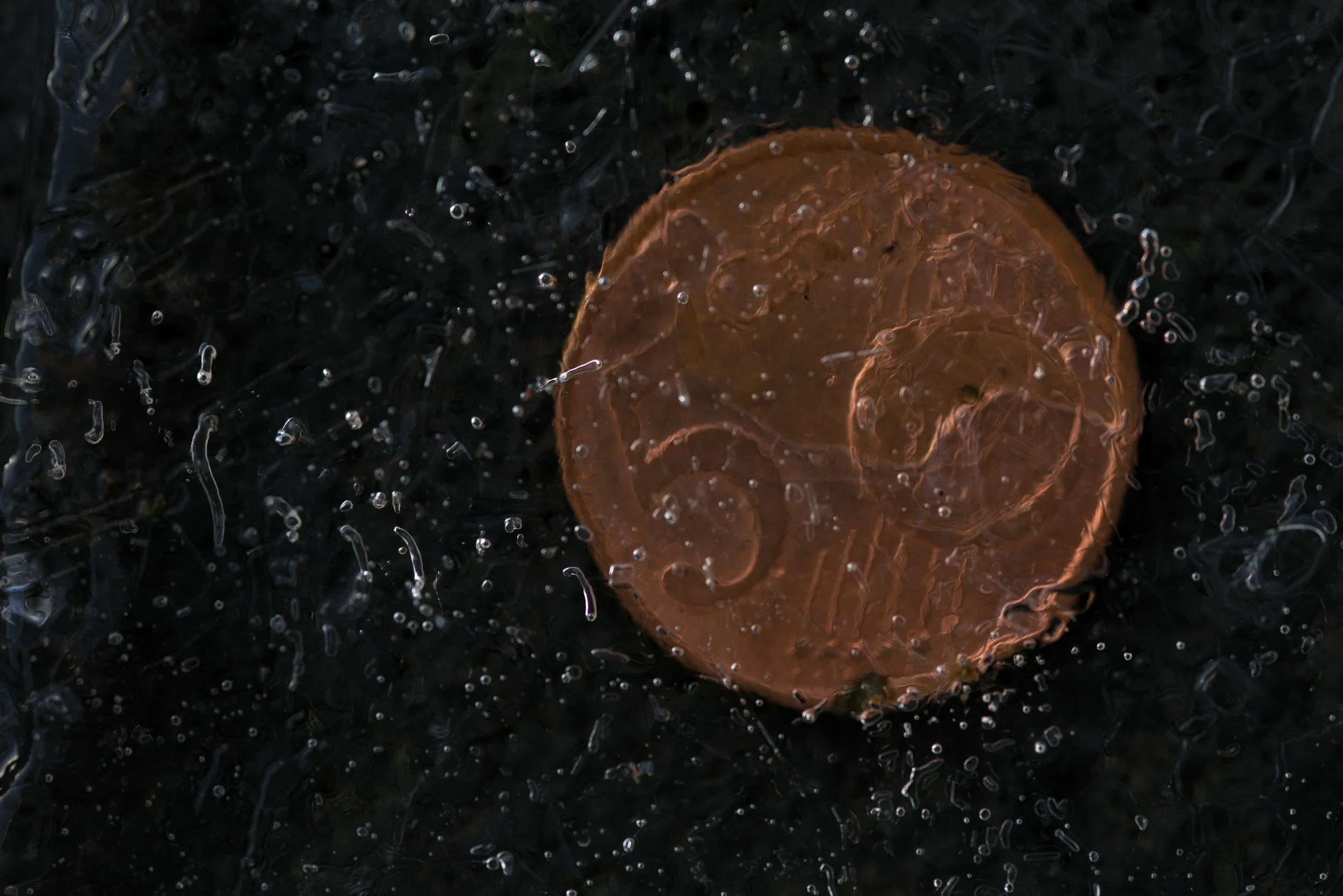 Recovering Operational Integrity after a Failed Payroll Implementation.