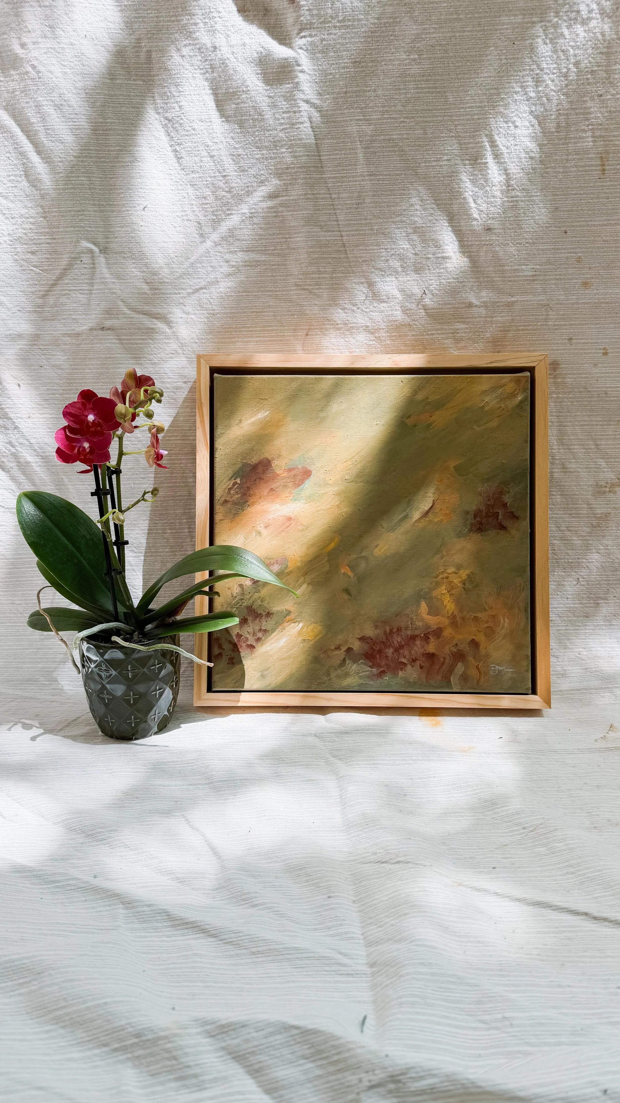 A potted pink orchid flower and a framed abstract painting with warm tones, placed on a textured white canvas background.