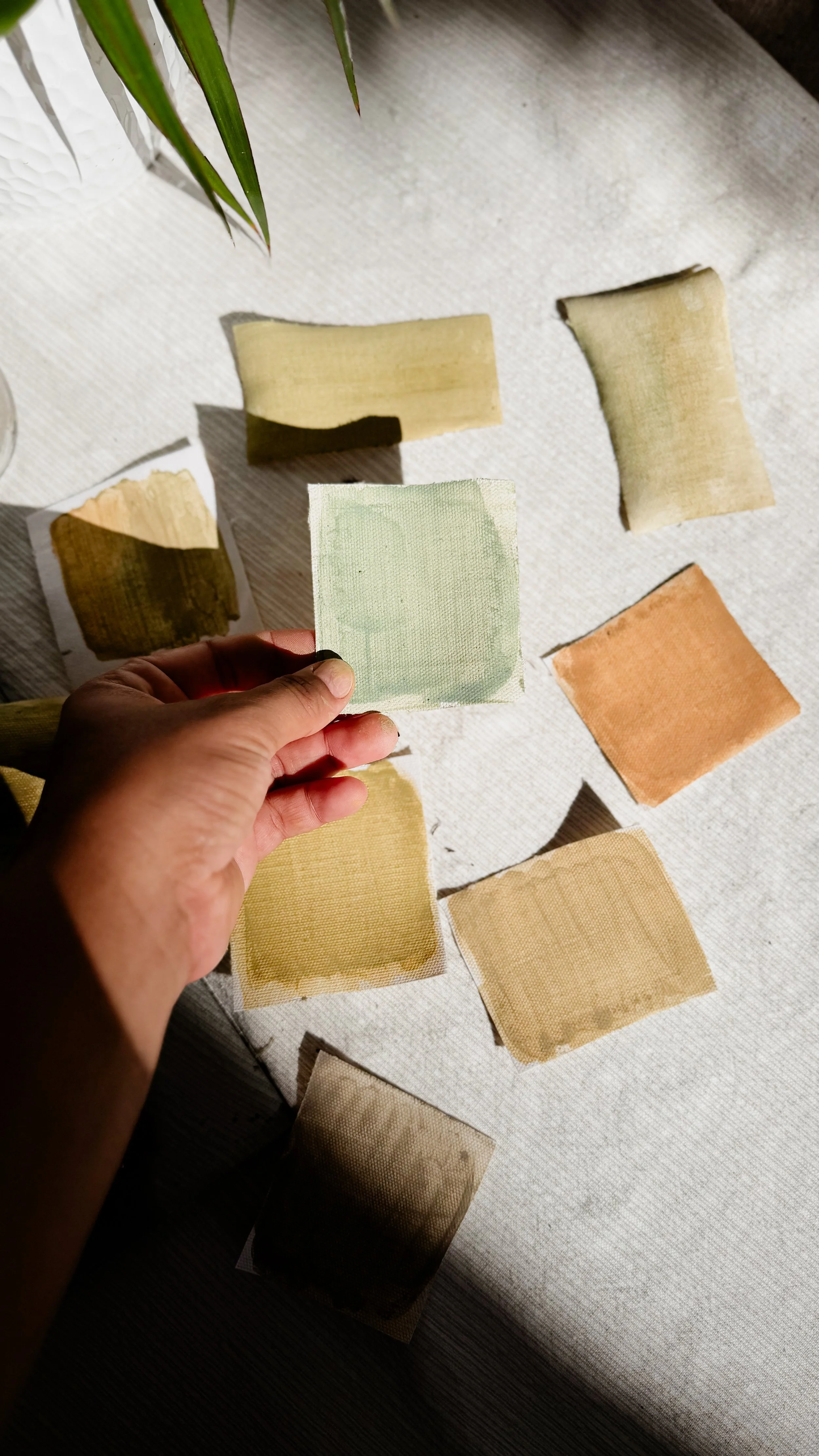 Hand holding green canvas color swatch surrounded by various color swatch samples in earthy colors laid out on the fabric.