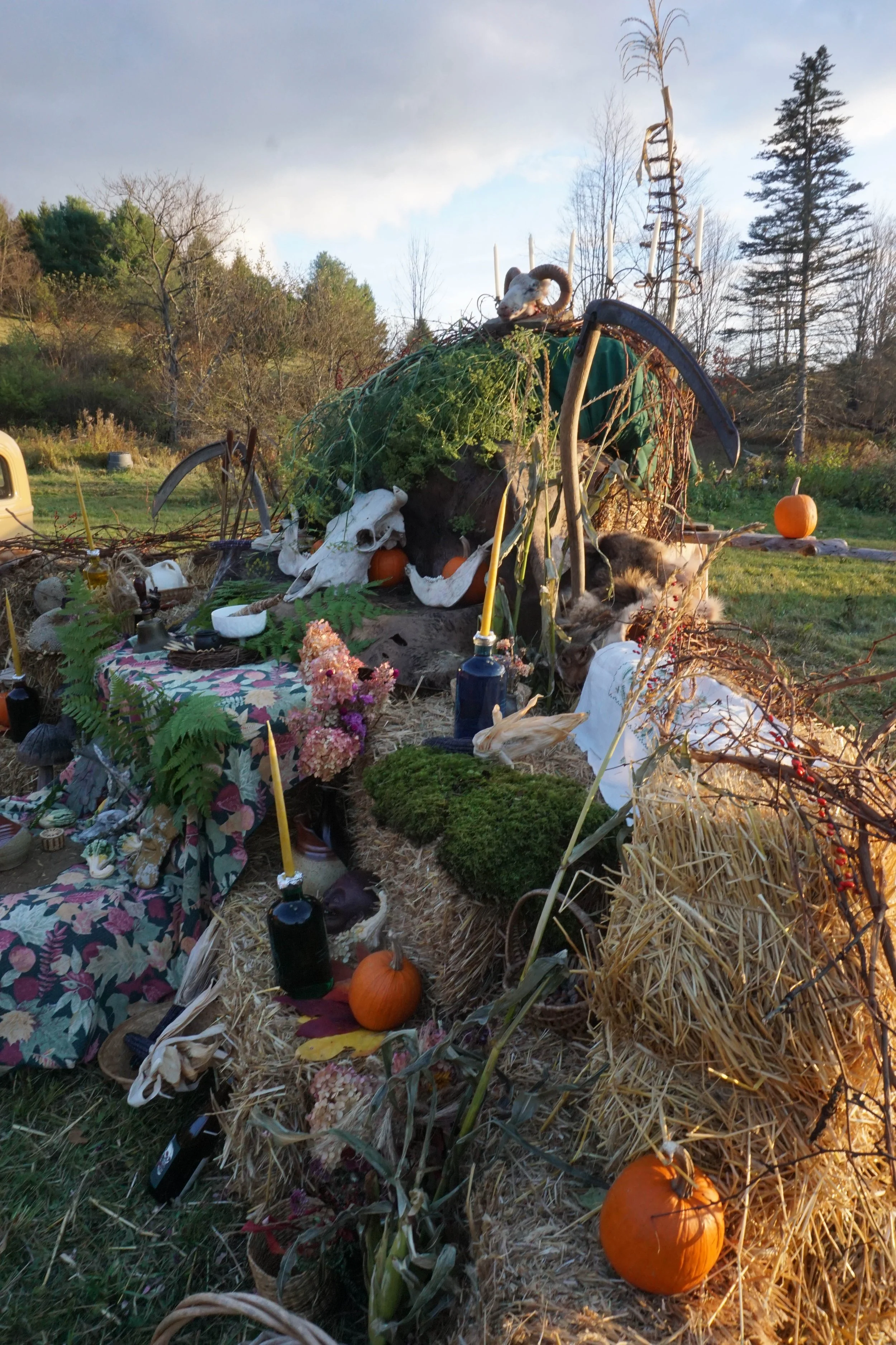 samhain2025-7.jpg