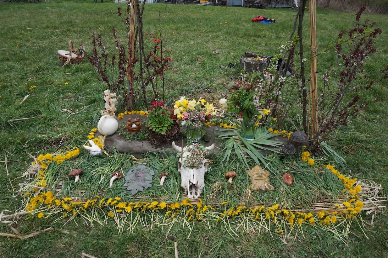 06.JPG