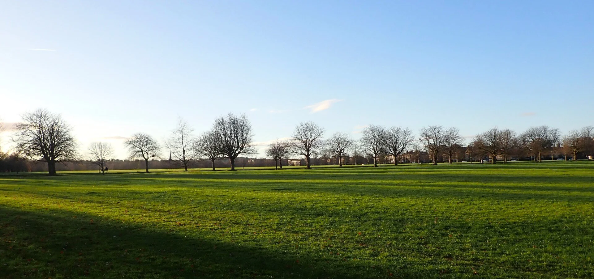 Harrogate Stray, a park with a large green grassy area and a line of leafless trees in the distance. The sky is mostly clear with a few small clouds.