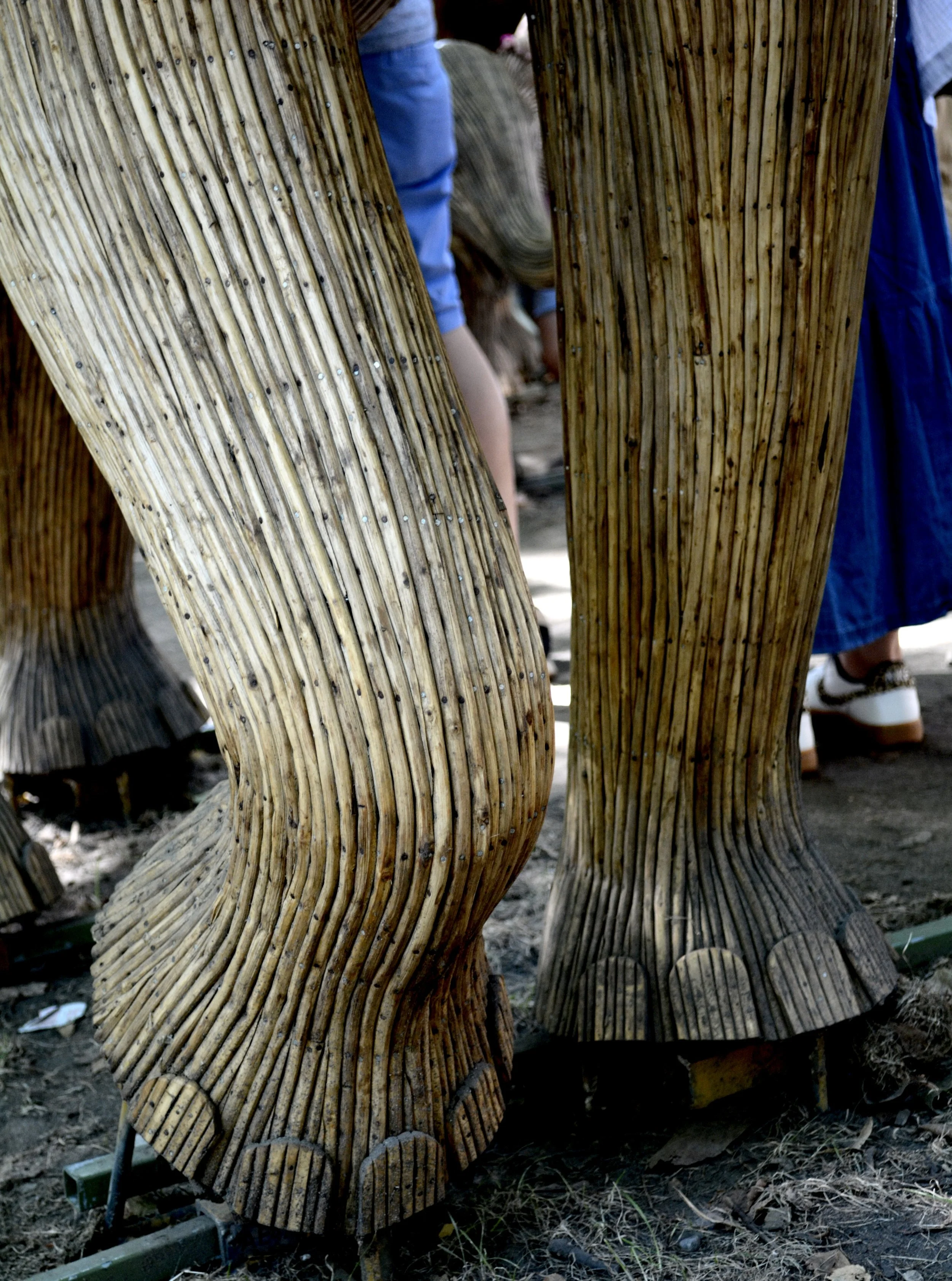 DSC_4099.jpeg