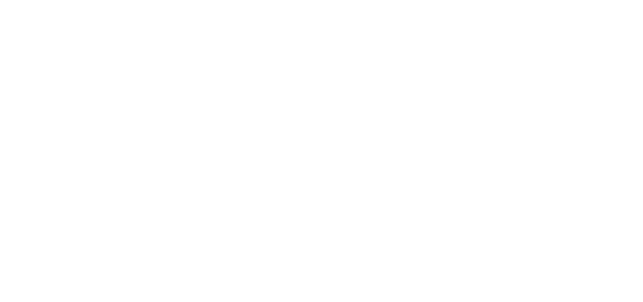The CNN logo in white