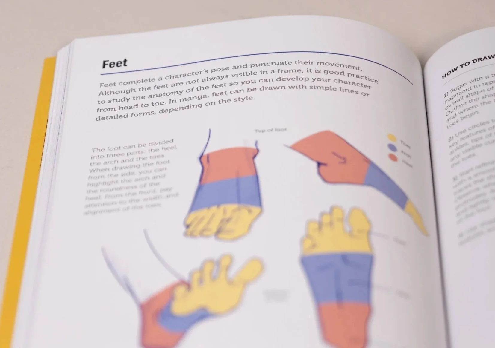 Open book showing a section about drawing feet, with a colorful illustration of two feet, each divided into different color-coded areas for practice.