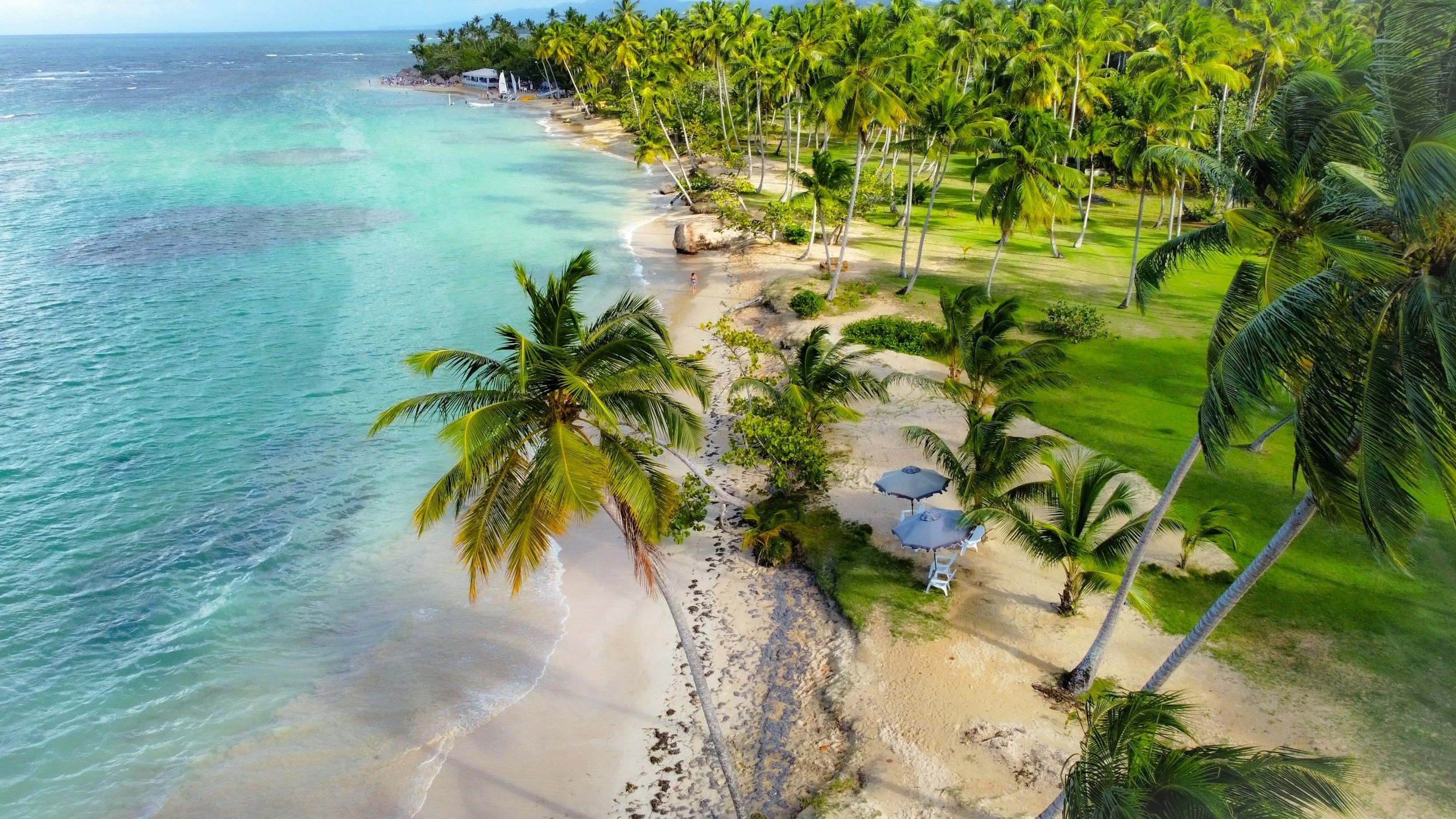 A tropical beach with clear turquoise water, white sand, and numerous palm trees, some with umbrellas and chairs underneath, extending along the shoreline.