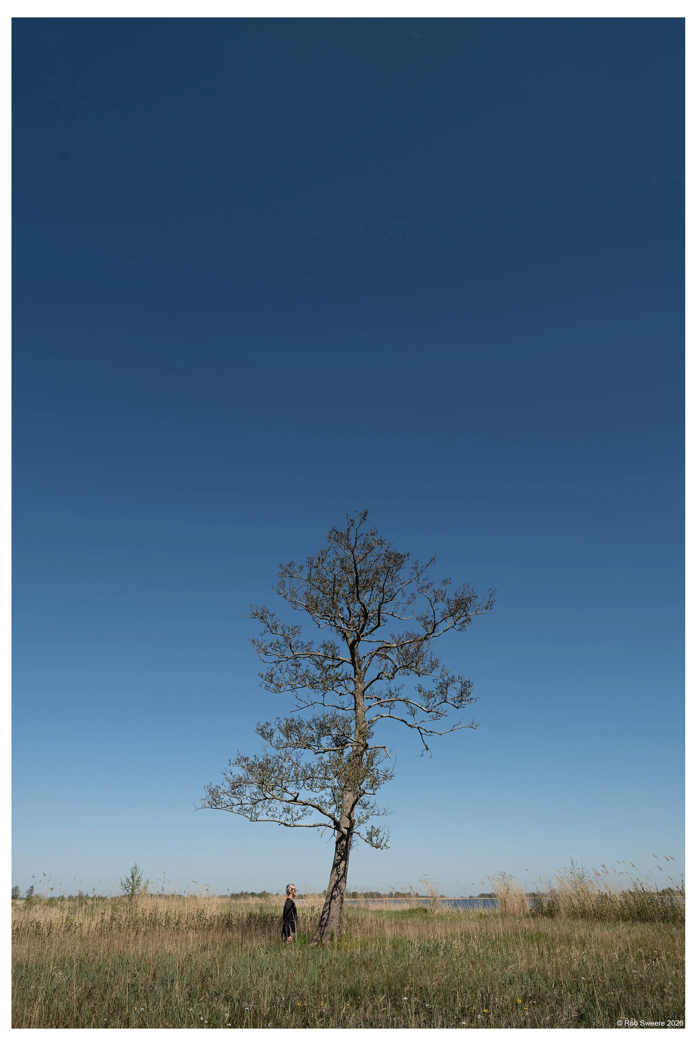 DSCF7901 20x30cm.jpg