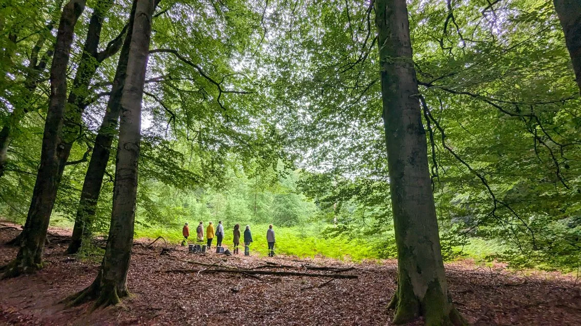 WALKING TREES