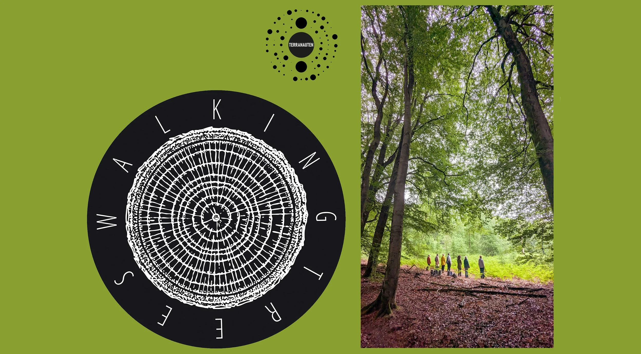 WALKING TREES