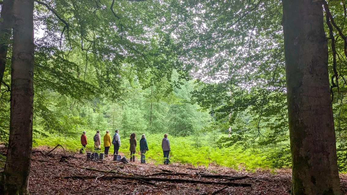 WALKING TREES