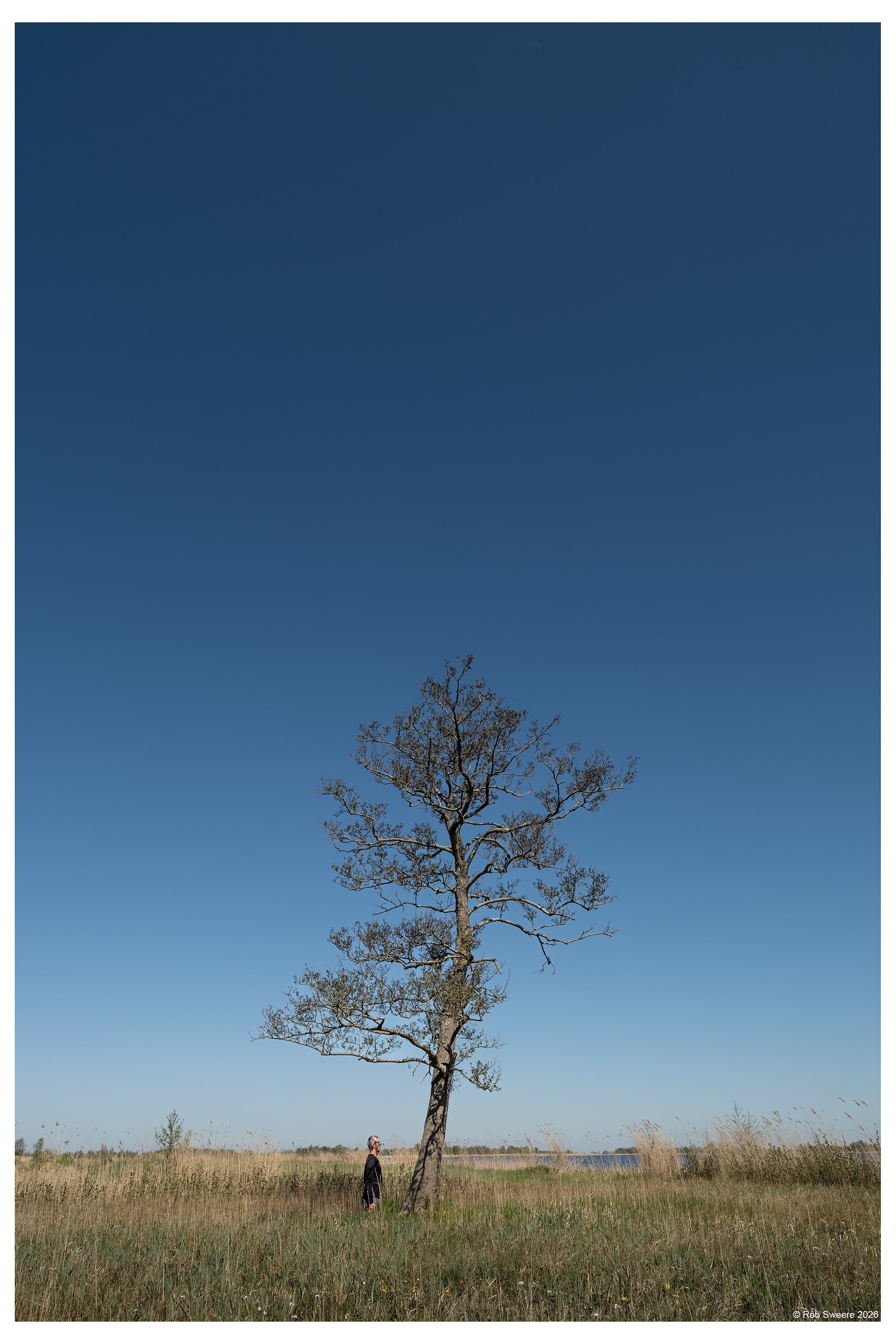 DSCF7901 20x30cm.jpg