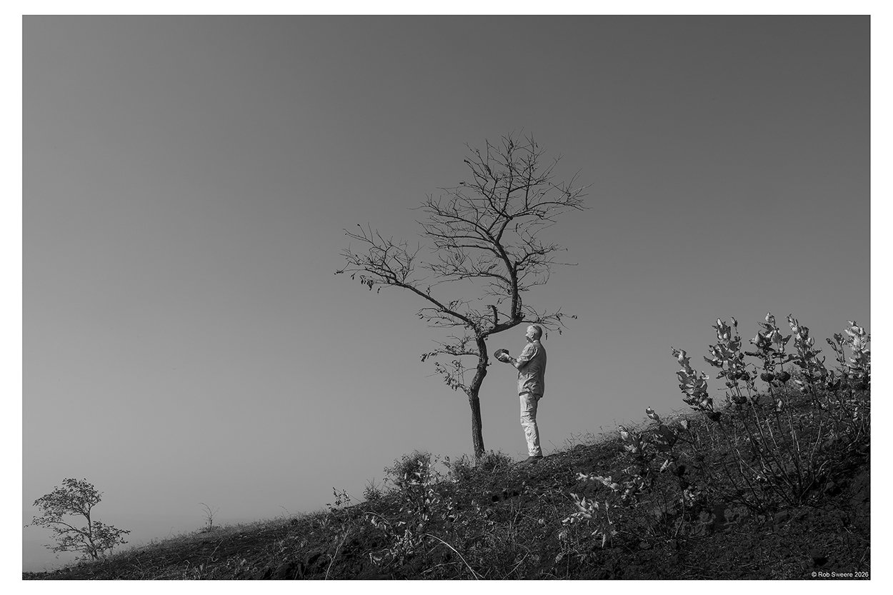 DSC_7803-web.jpg