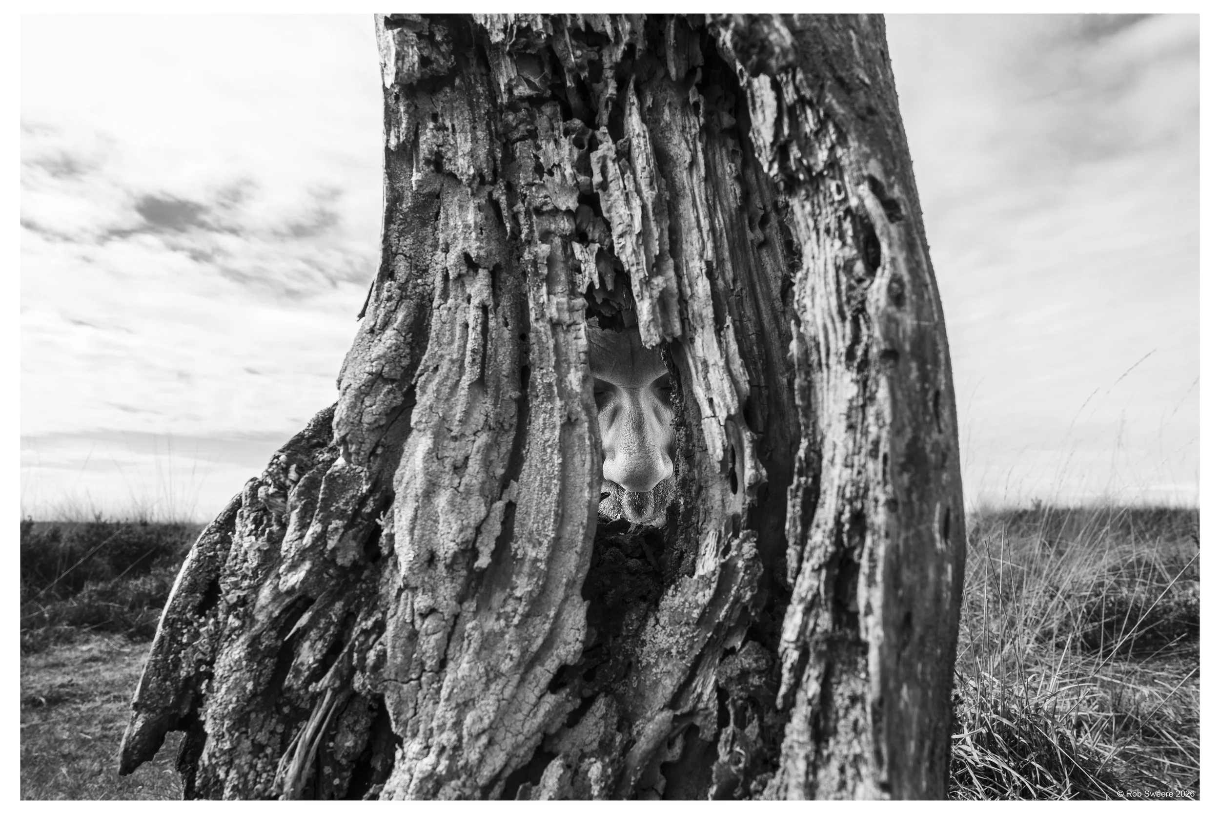 DSCF7614 20x30cm.jpg