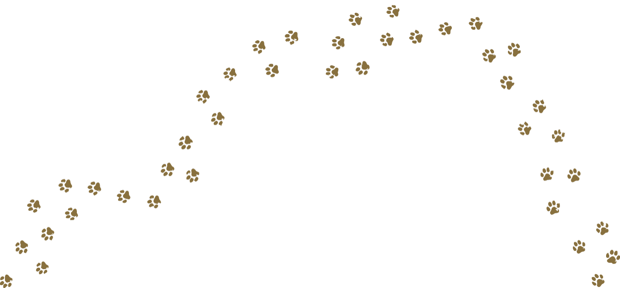 A pattern of beige paw prints arranged in a decorative curve on a black background.