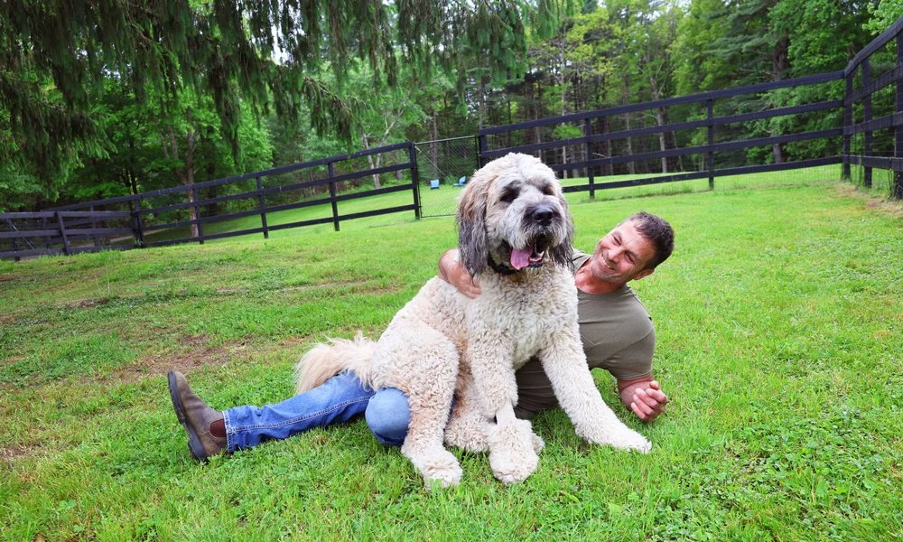 A man lying on green grass, smiling, with a large fluffy dog sitting next to him. They are outdoors in a fenced yard with trees in the background.