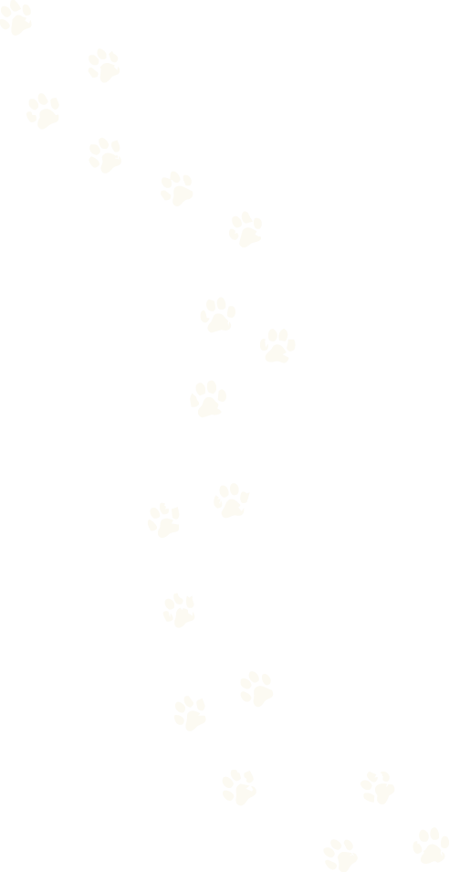 Multiple white paw prints on a black background, arranged in a diagonal pattern.