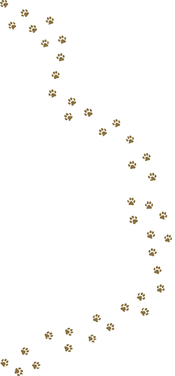 A trail of brown paw prints on a black background.