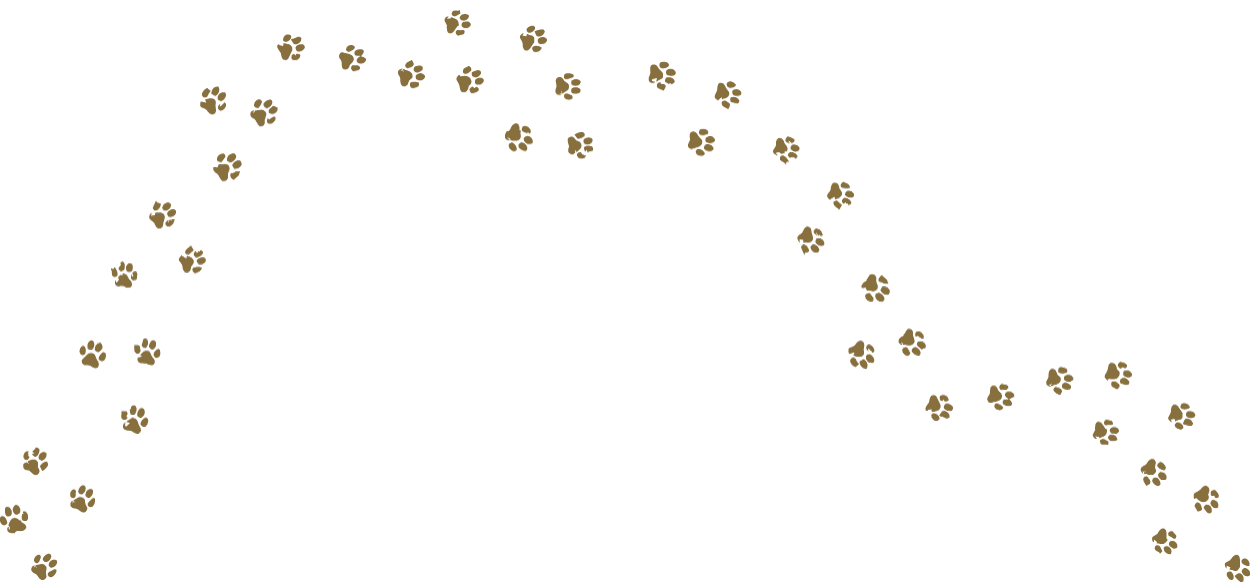 Paw prints in a trail leading to a dog silhouette and a heart shape made of paw prints on a black background.