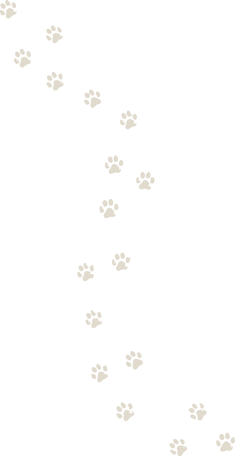 A black background with a trail of brown paw prints crossing diagonally from top left to bottom right.