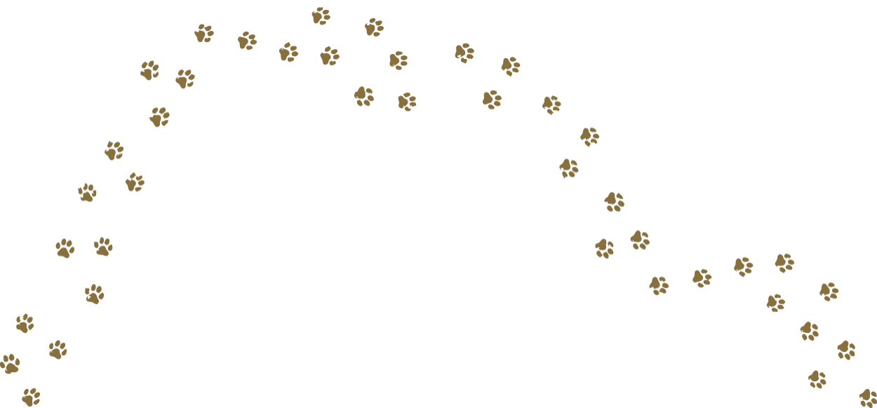 Paw prints forming a semi circle shape forming a path.