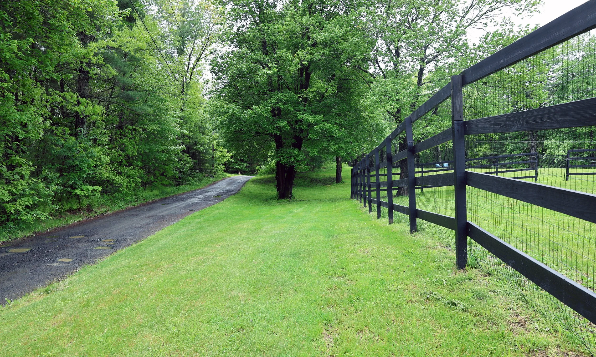 A rustic road runs through a green yard with a black wooden fence on the right side. Tall trees with lush green leaves line the road, creating a scenic rural environment at Barking Bubbles at Long Creek Farm.