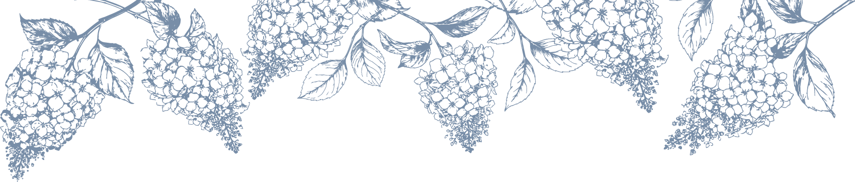 Blue botanical pattern with clusters of berries and leaves on a black background.