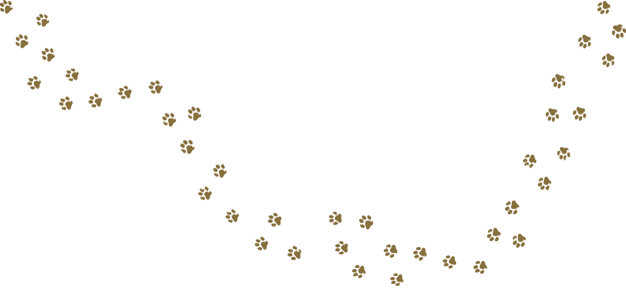 A trail of small gold paw prints leading from the bottom right corner to the top left corner