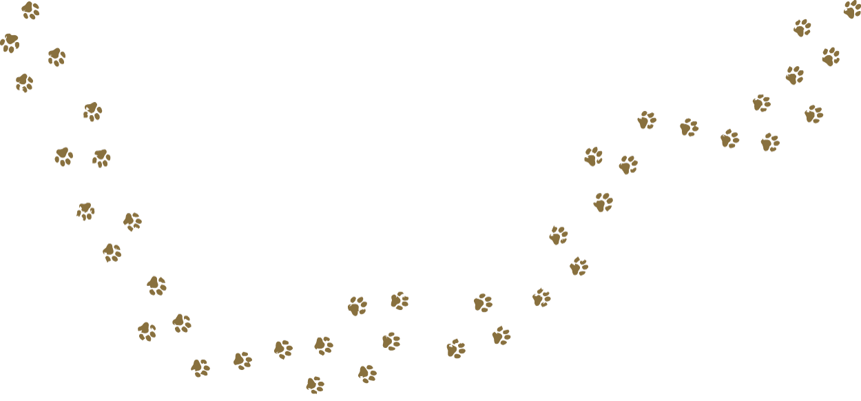a trail of light brown paw prints arranged artfully.