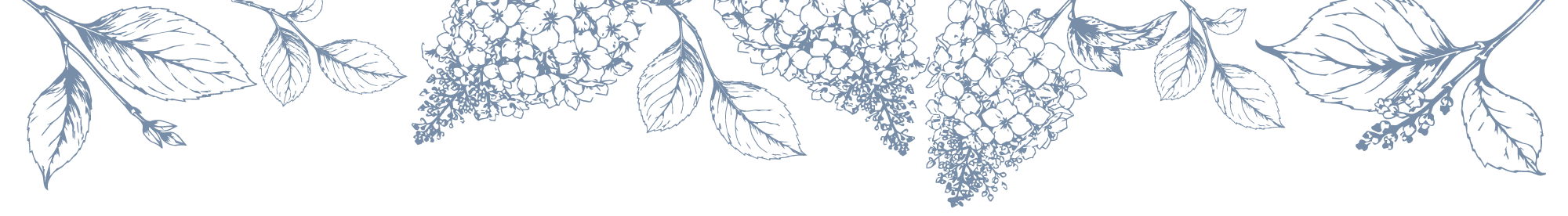 Blue botanical illustrations of leaves and flowers arranged along the top border on a black background.