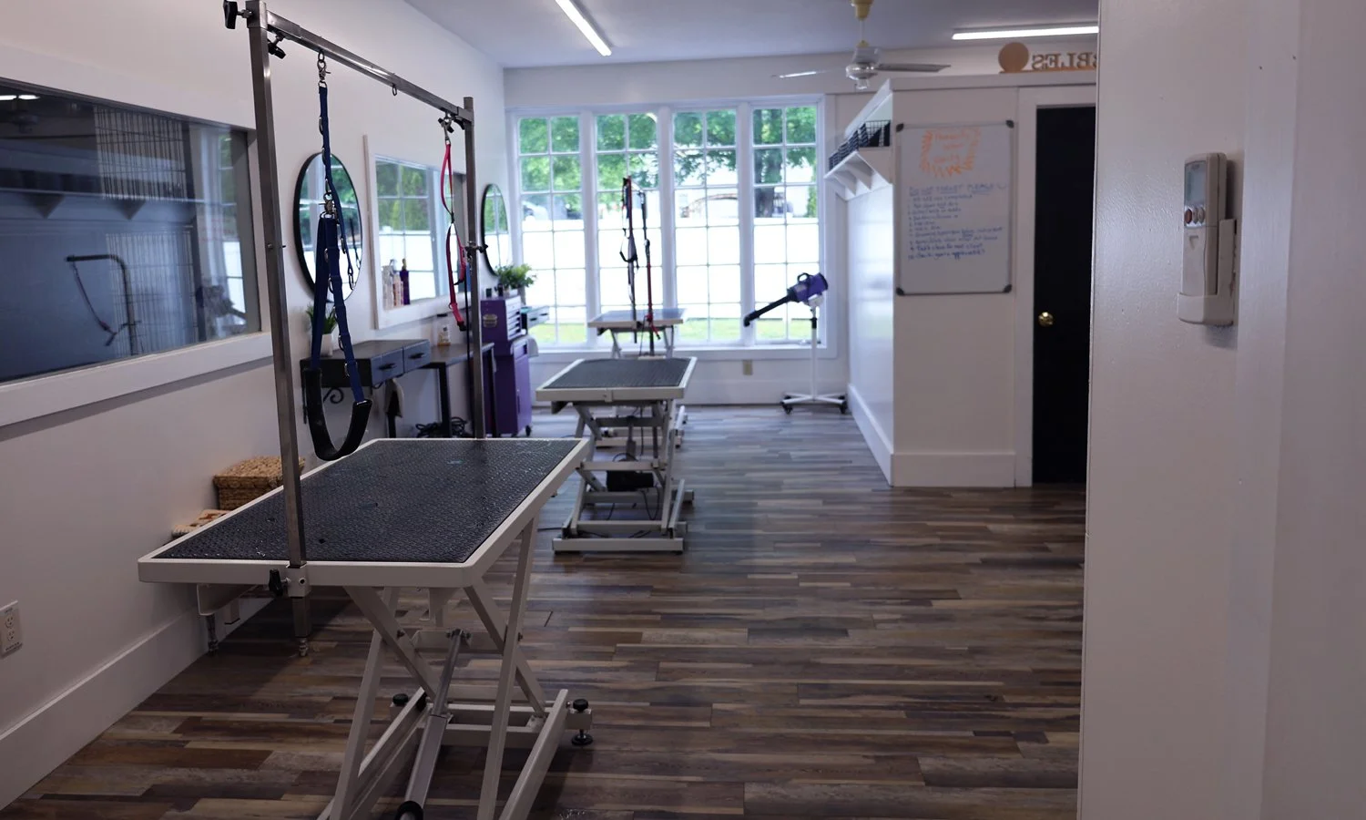 Indoor dog and cat grooming room with professional tables and equipment and surrounded by large windows filtering natural light.