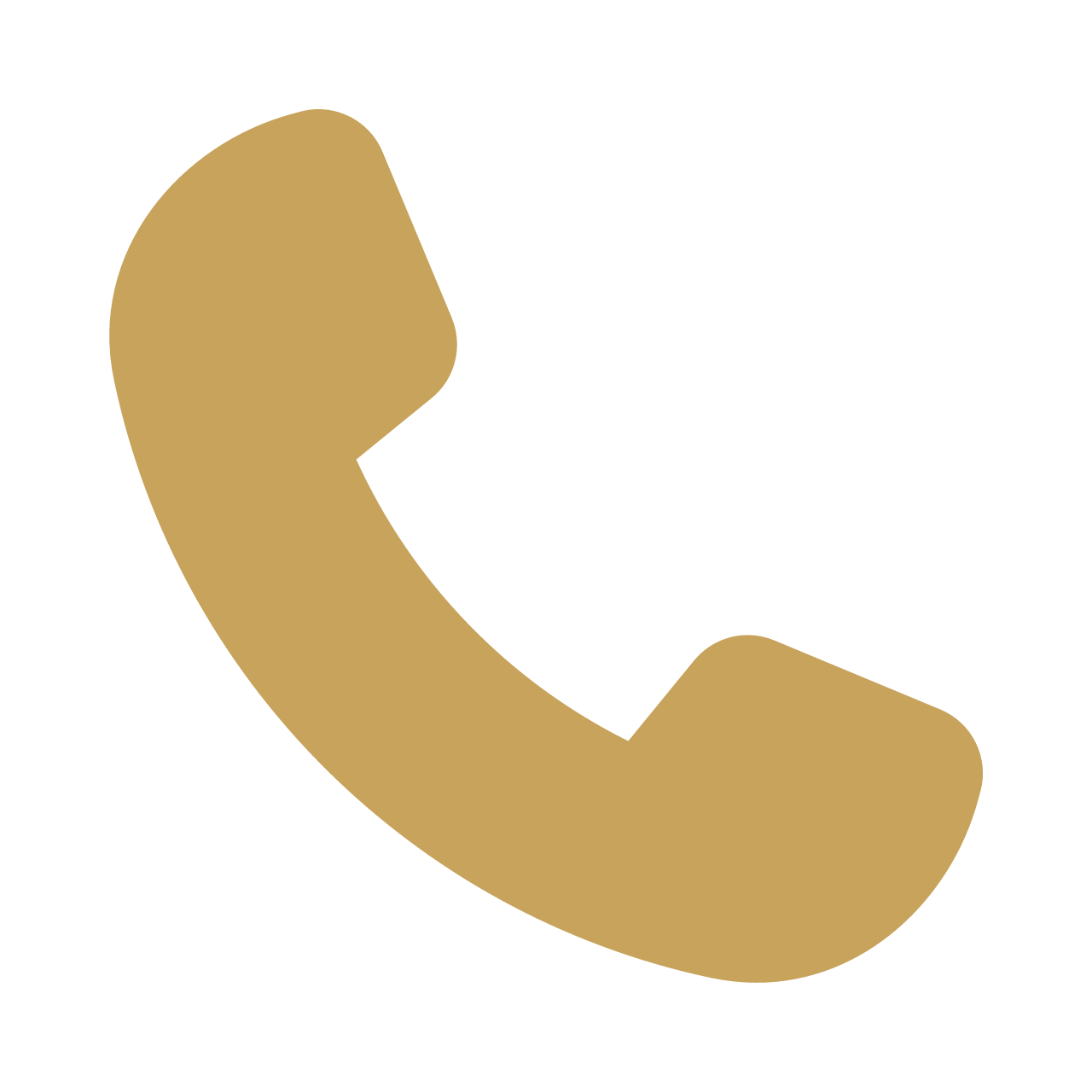 Phone icon
