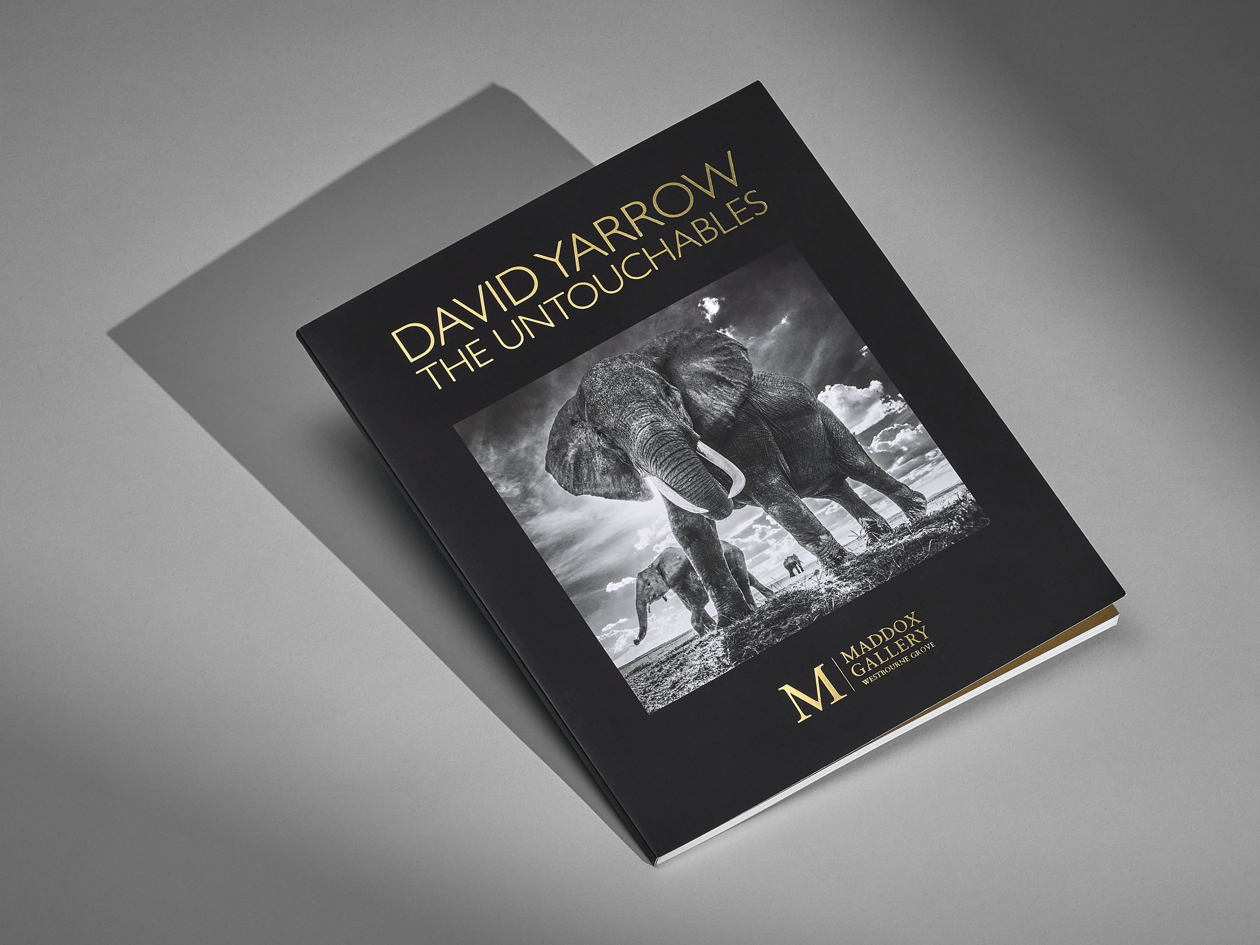 Maddox-Gallery_05.png