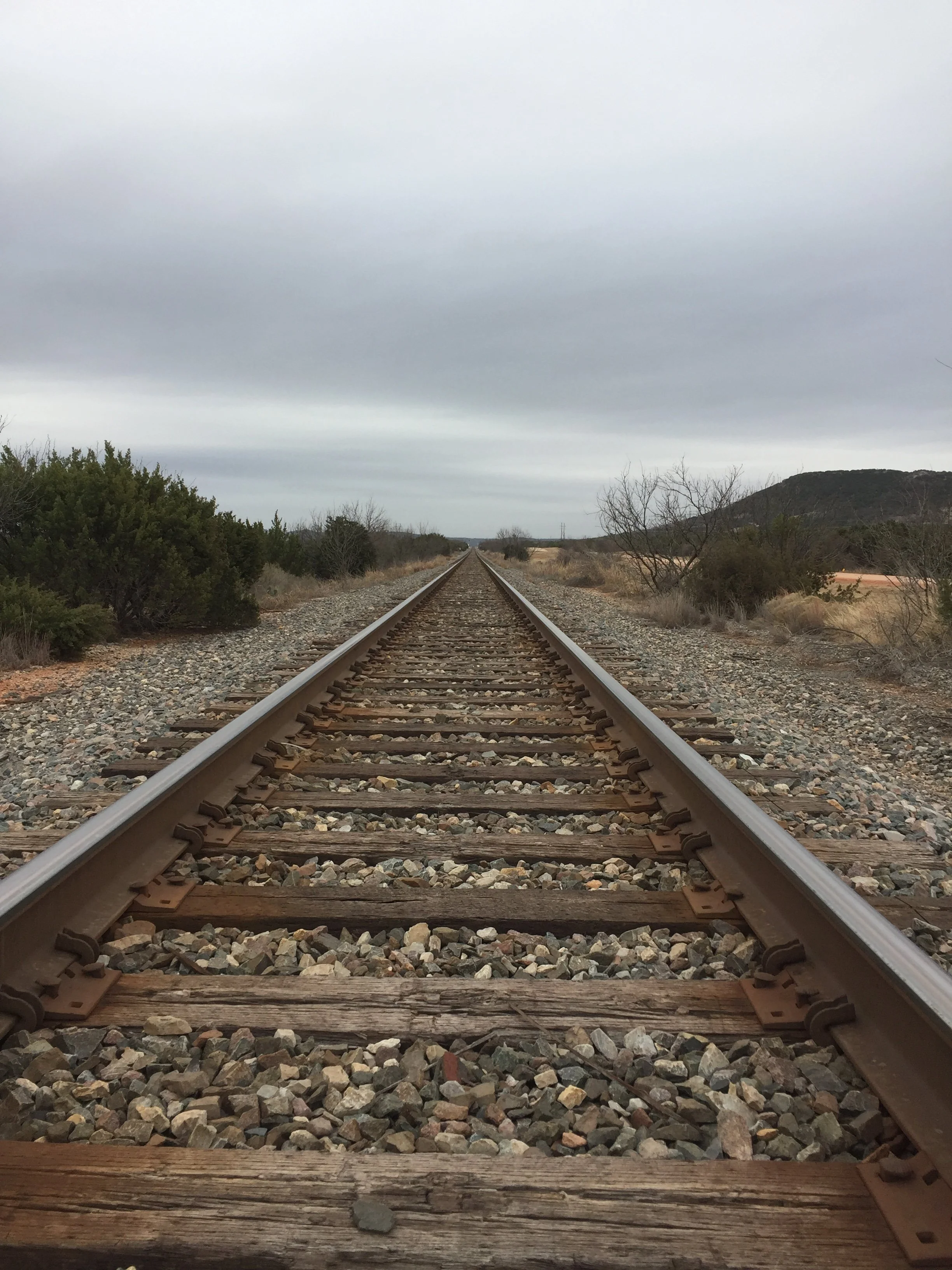 A straight view of train tracks extending into the distance amidst a rural landscape with overcast sky.