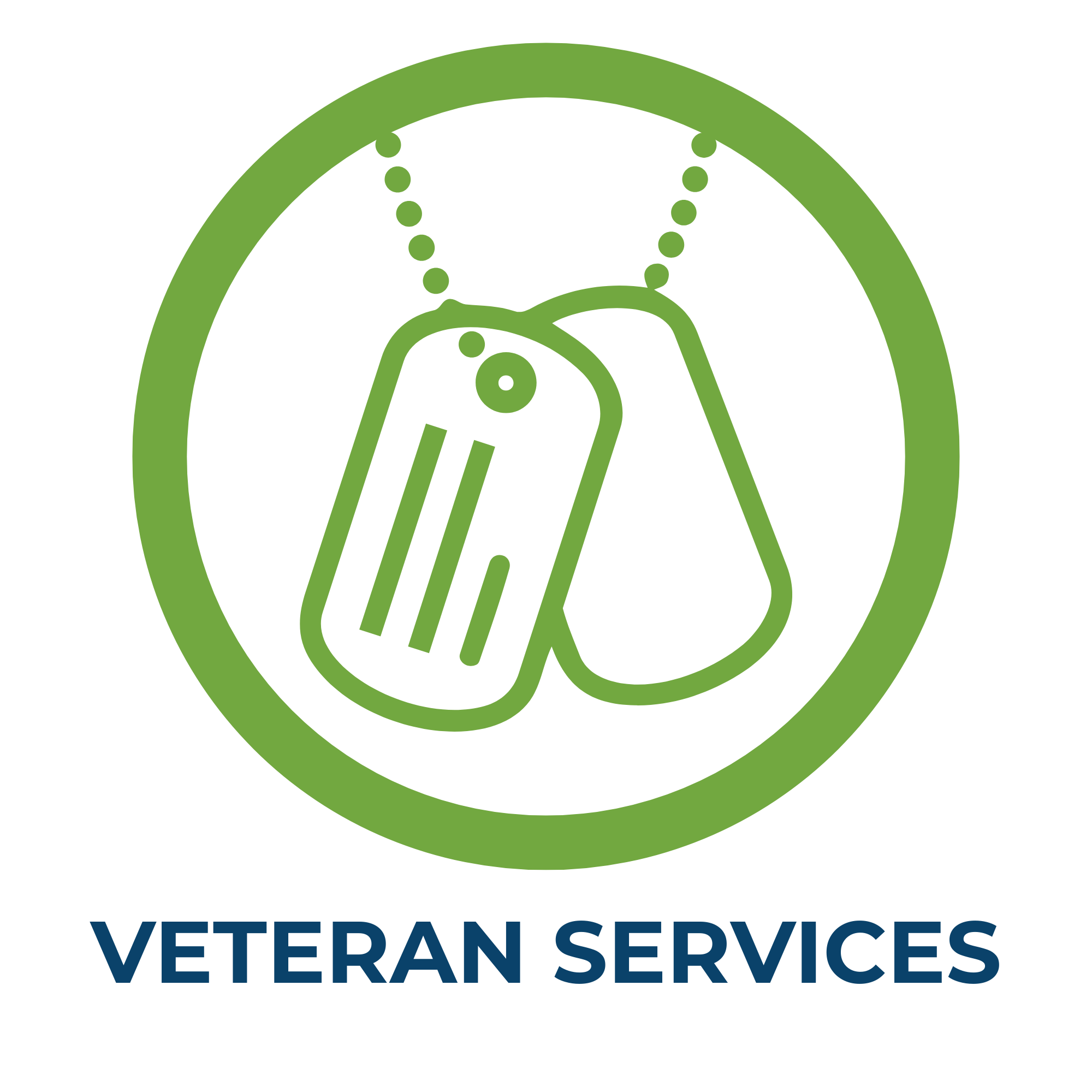 Logo of Veteran Services with a green circular emblem and the text 'Veteran Services' below in navy blue.