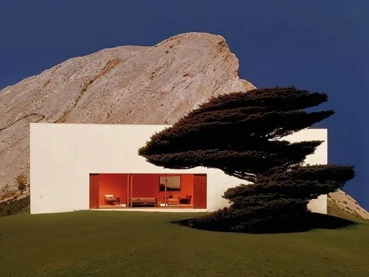 Modern house with white exterior walls, large glass sliding door, a sitting area inside, minimalist landscaping with a sculpted tree, and a mountain in the background under a dark blue sky.