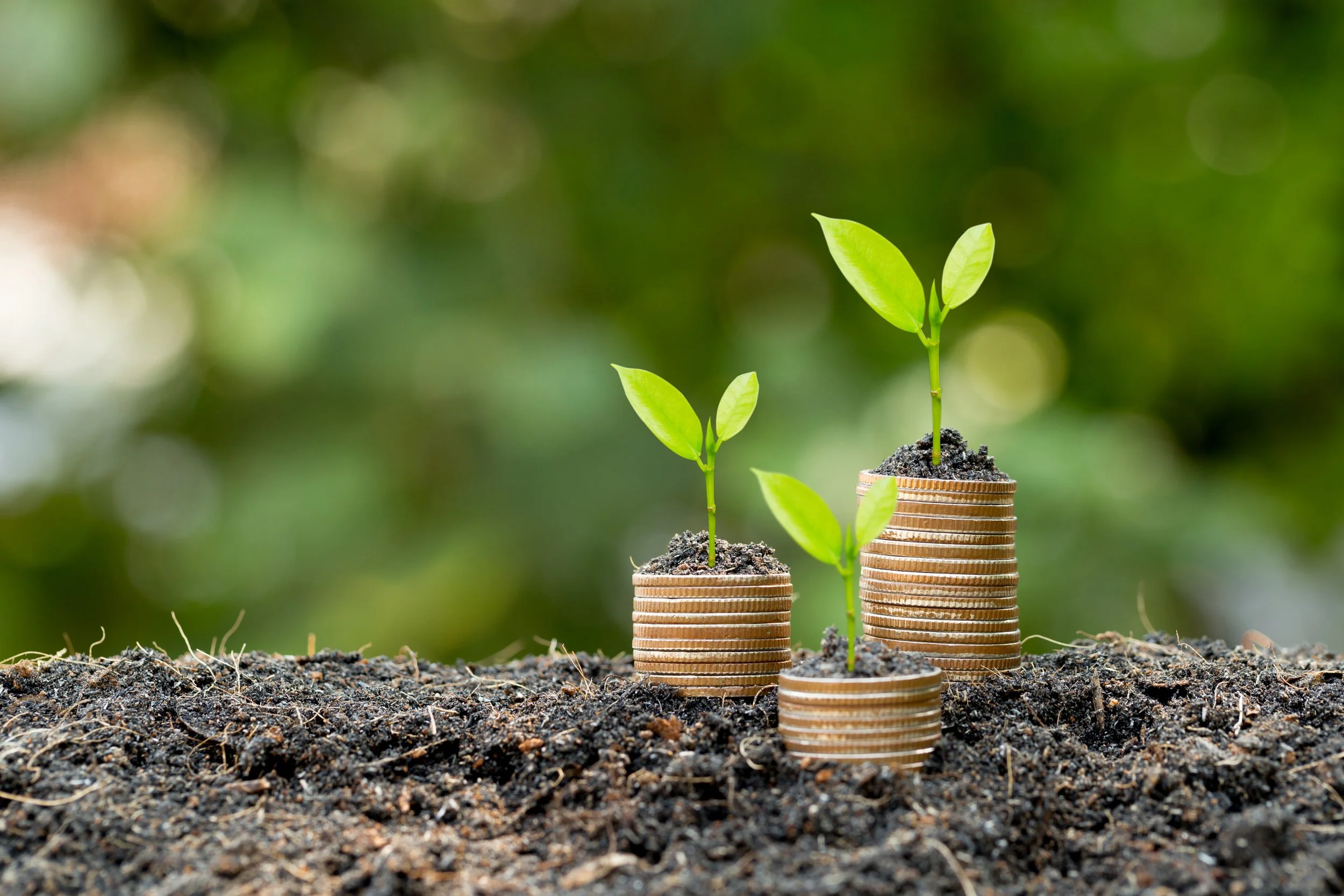 Watch Your Savings Mature into Your Reality