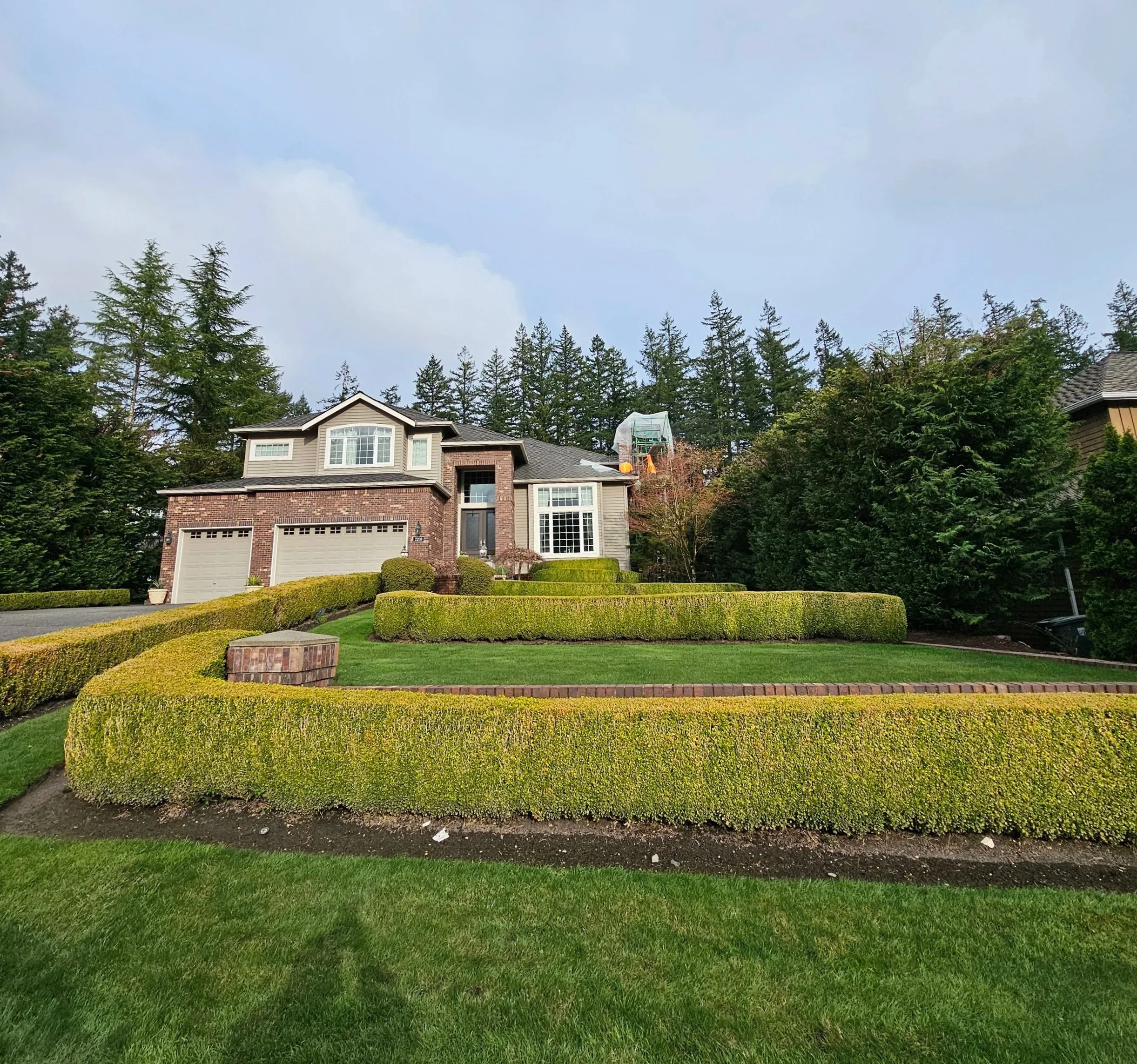 Chimney tuckpointing
