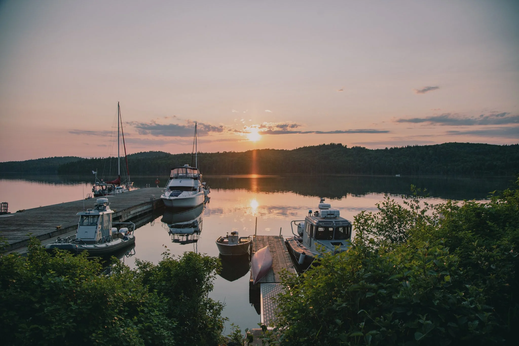 Sunset over a calm lake with boats docked at a marina, surrounded by green bushes and trees in the foreground.