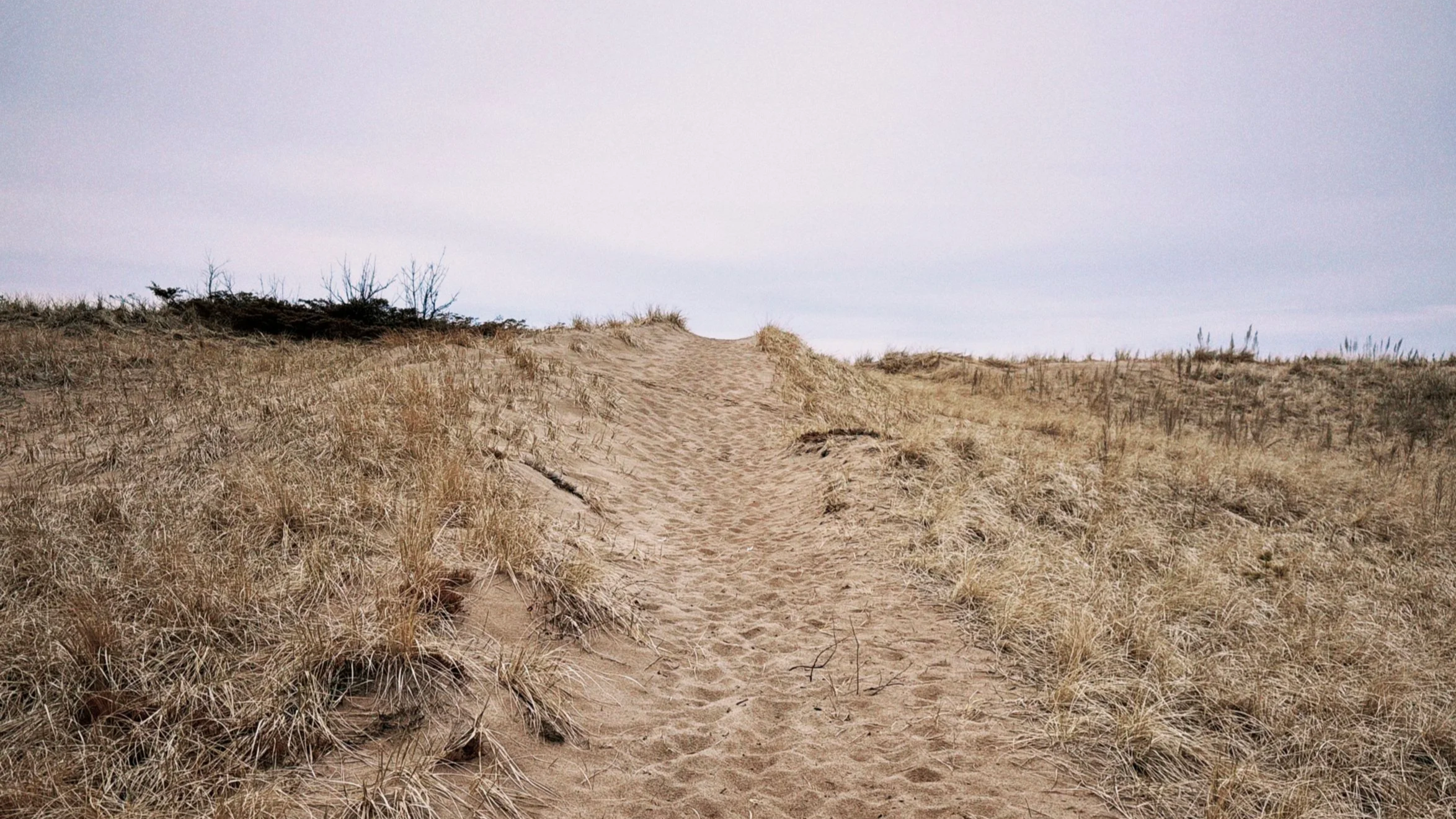 A sandy beach path surrounded by dry grass leading to a distant horizon under a cloudy sky.