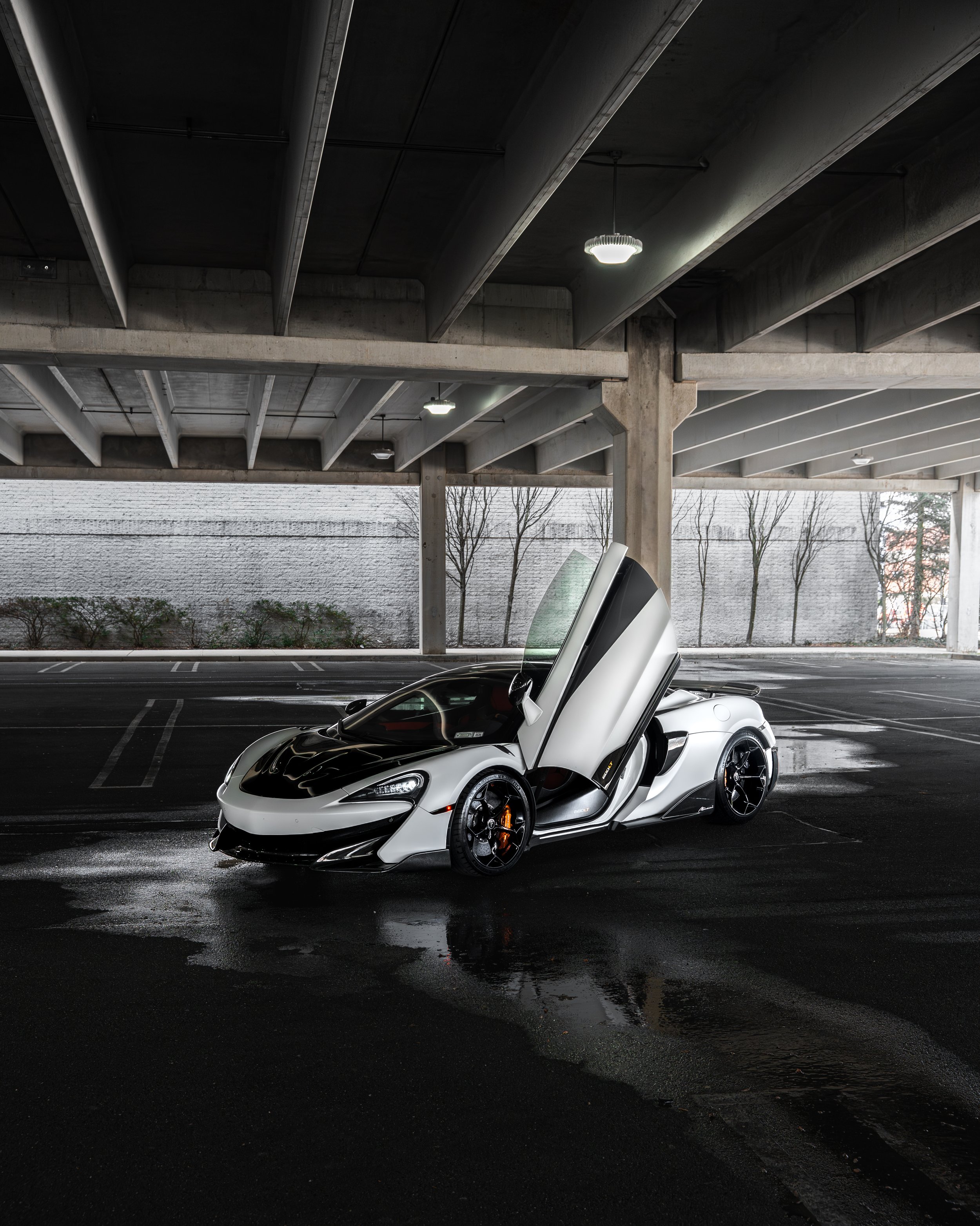 DSC03172.jpg